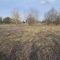 Dom 106m + budynek gospdarczo-garażowy 83m, działka 31,5 ara Łysaków