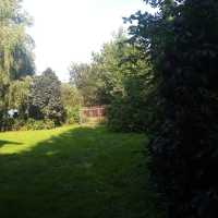 Dom 250m do zamieszkania, działka 31,5ara  Złotniki