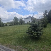 Dom 340m  po remoncie działka 63ary budynek gospodarczo-garażowy 442m Dąbie gm. Radomyśl Wielki