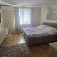 Dom 340m  po remoncie działka 63ary budynek gospodarczo-garażowy 442m Dąbie gm. Radomyśl Wielki