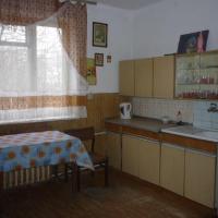 Dom 60m Borowa działka 1 ha