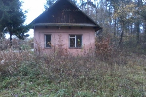 Działka 15,8 ara  domkiem  przy lesie Przecław