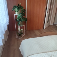 Zadbany dom do zamieszkania 160m z ogrodem w Centrum Mielca